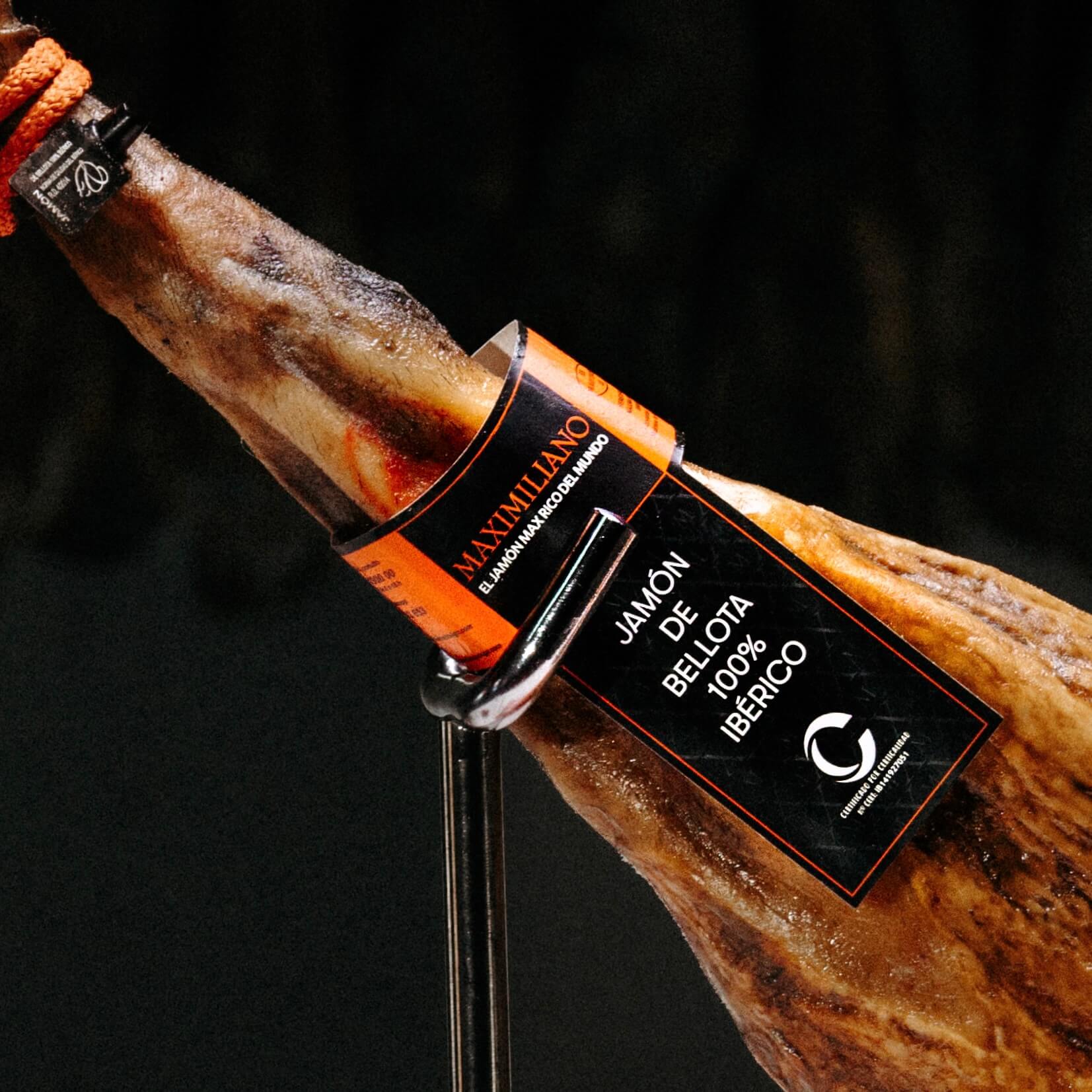 Jamón de Bellota 100% Ibérico